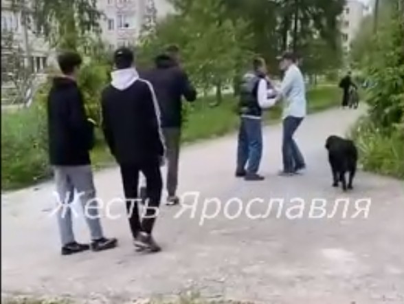 «На колени!»: под Ярославлем мужчины избили подростка