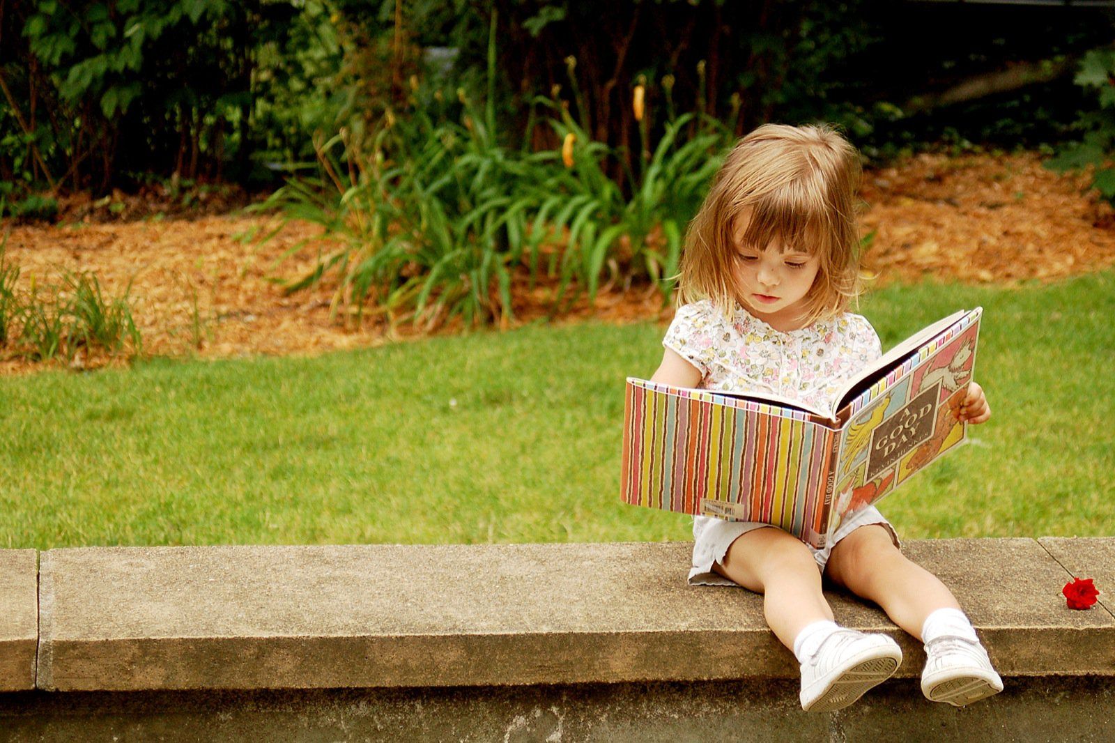 Книга в жизни маленьких детей. Дети читают. Книги для детей. Книга для девочек. Девочка с книжкой.