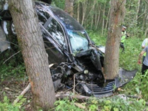 В Переславском районе автомобиль врезался в дерево: есть пострадавший 