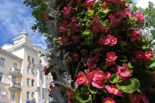 На проспекте Ленина в Ярославле устанавливают вторую цветочную арку