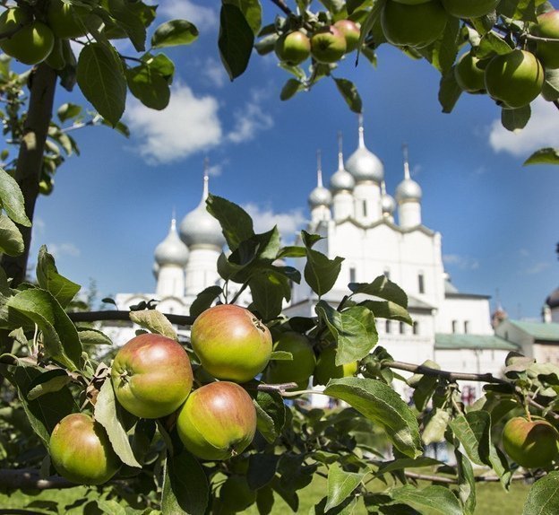 Главные ярославские фестивали, на которые надо успеть до конца лета