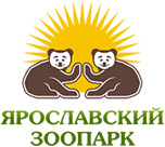logotype.png logotype.png