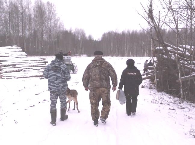 Ирина Гукасян, и.о. министра лесного хозяйства и природопользования Ярославской области: «„Кислые гудроны“ и „зелёные масла“ надеемся ликвидировать до 2030 года»