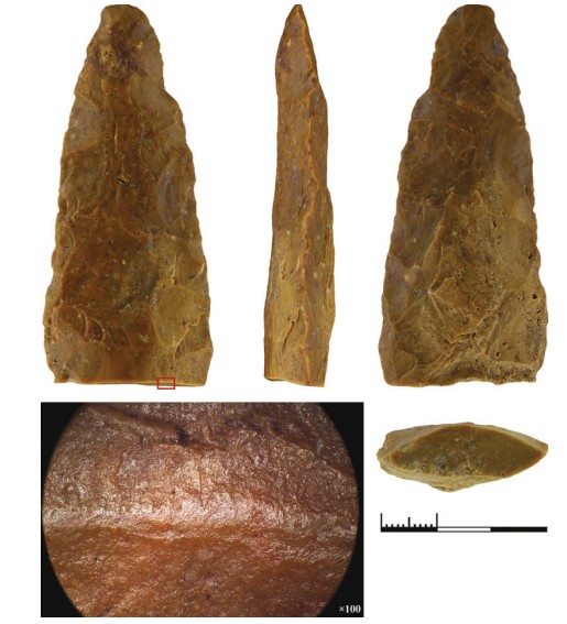 Тайны Большого Тимерёво: древние курганы раскрыли секреты каменного века на территории Ярославской области
