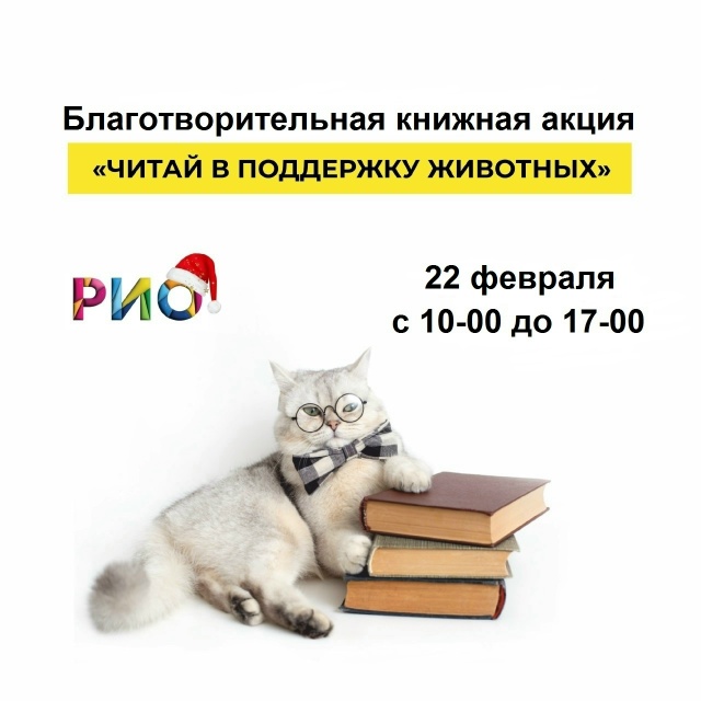 В Ярославле пройдёт благотворительная акция в поддержку бездомных животных