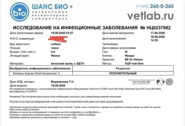 Производитель вакцины «Мультикан-8» опубликовал первые результаты расследования гибели собак