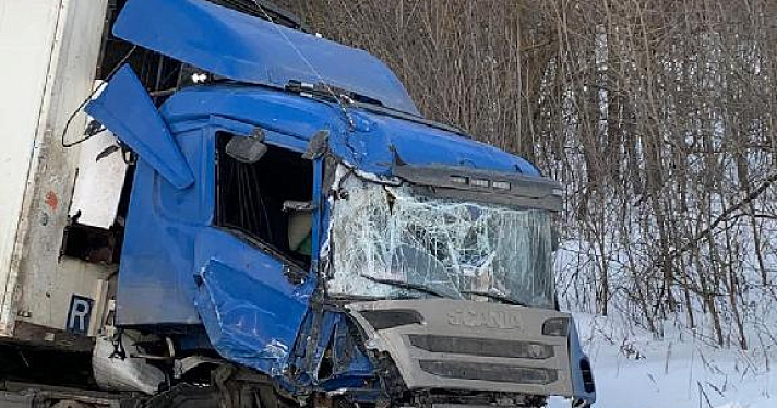 В Ярославской области в массовое ДТП попал автобус, перевозивший спортсменов-школьников_234731
