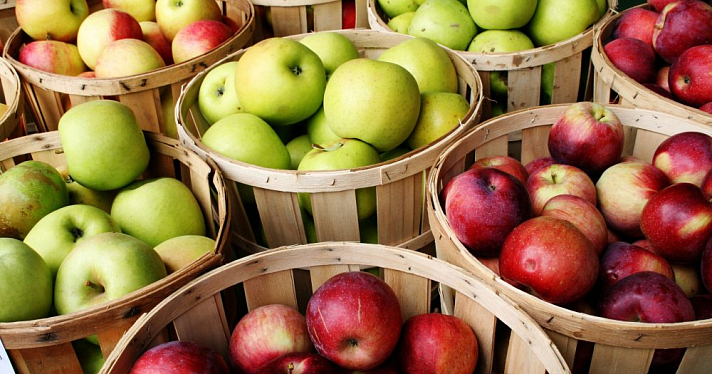 Что приготовить из яблок: список простых рецептов на осень