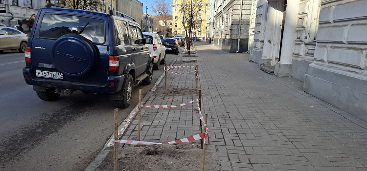 В центре Ярославля готовят почву к высадке новых деревьев_293859