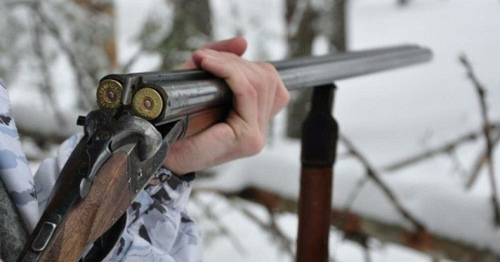 В Ярославской области браконьер застрелил лосиху