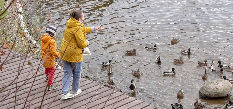 Парк на набережной Волги в Угличе благоустроили в рамках нацпроекта