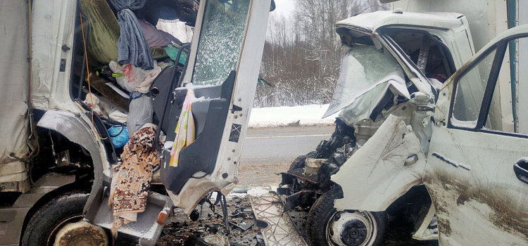 В Ярославской области в лобовом столкновении двух грузовиков погиб водитель_228834