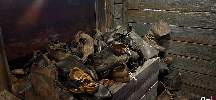 «Умираем, но не сдамся»: Ярославль встретил «Поезд Победы»_311156