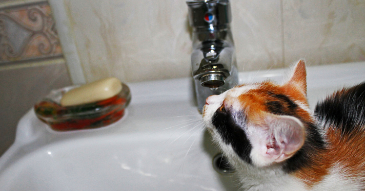 Город Ярославской области остался без холодной воды