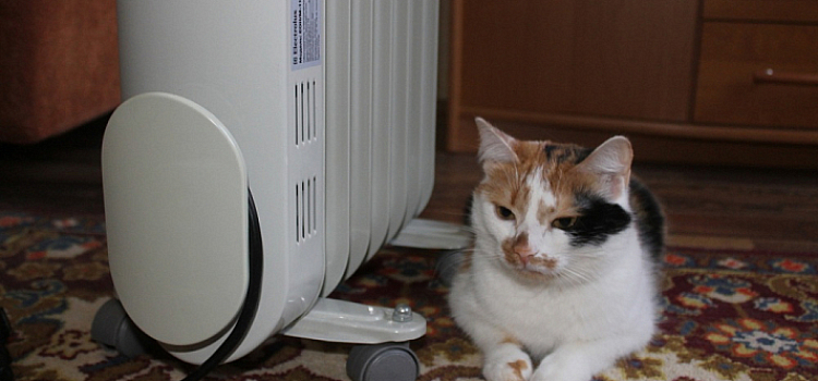 Начнут с объектов социальной сферы: Ярославская область готовится к началу отопительного сезона