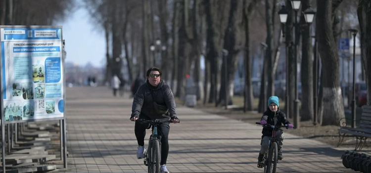 Губернатор: уровень бедности в Ярославской области продолжает падать, а зарплаты стабильно растут