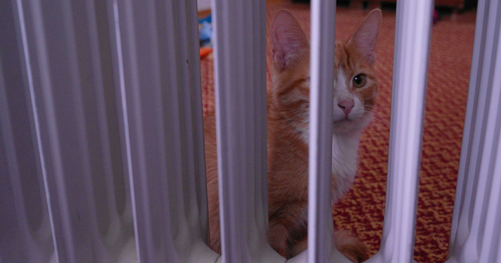 В Ярославле два района частично остались без отопления