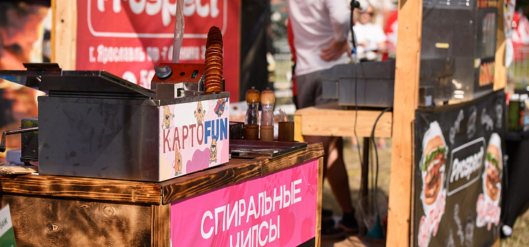 Новая жизнь старинного замка: фоторепортаж со второго арт-фестиваля «Понизовкин»_280744