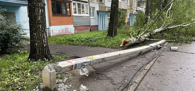 В Ярославле фонарный столб рухнул на ребёнка