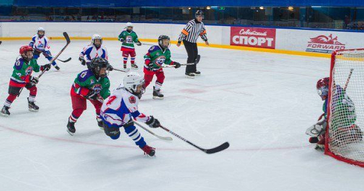 В Рыбинске состоялся хоккейный турнир в честь Никиты Клюкина и Максима Шувалова
