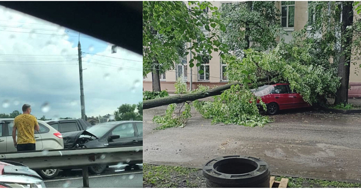 Массовое ДТП и поваленные деревья: ярославцы делятся фотографиями с улиц города
