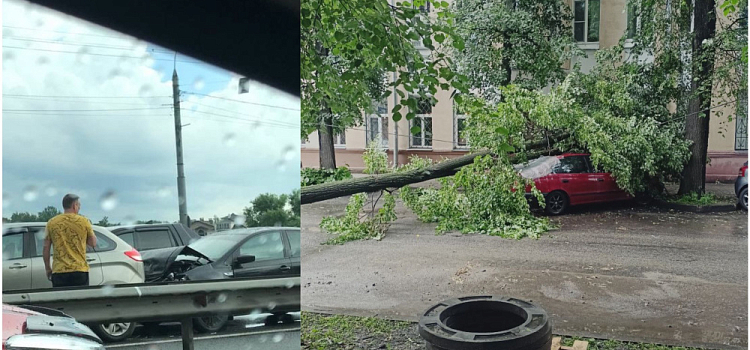 Массовое ДТП и поваленные деревья: ярославцы делятся фотографиями с улиц города