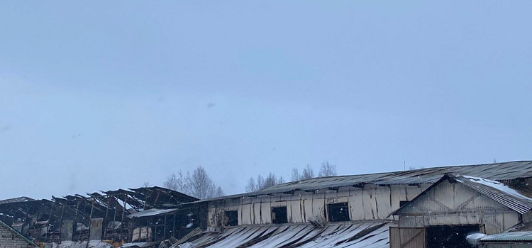Власти Гаврилов-Яма прокомментировали пожар на гончарном заводе