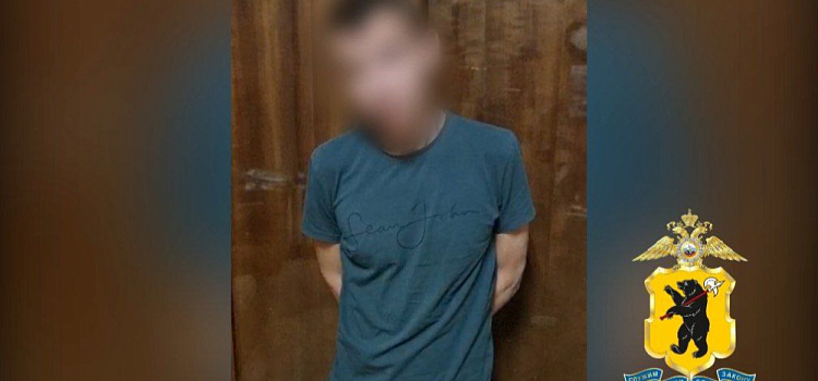 В Ярославской области задержали мужчину с 123 граммами наркотических веществ