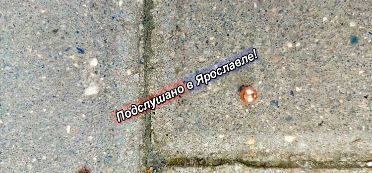 В центре Ярославля неизвестные открыли стрельбу по окнам_280091