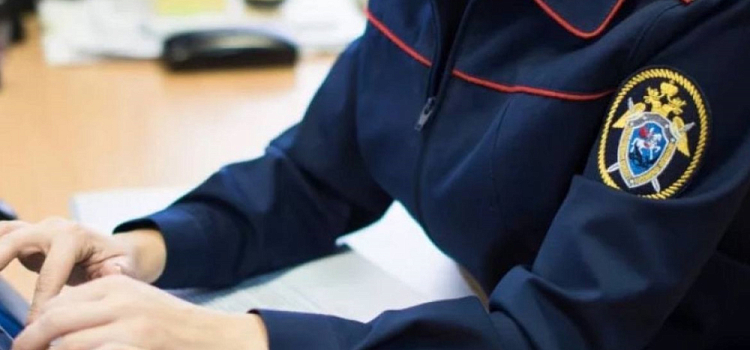 Глава Следкома поручил возбудить уголовное дело из-за проблем многодетных семей в Ярославле