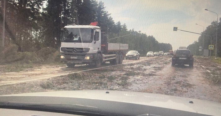 Автомобили в кювете и вырванные деревья: под Ярославлем разбушевался сильный ураган вблизи аэропорта_245503