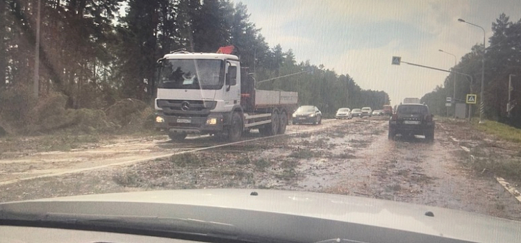 Автомобили в кювете и вырванные деревья: под Ярославлем разбушевался сильный ураган вблизи аэропорта_245503