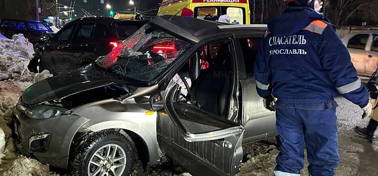 В Ярославской области за выходные в ДТП пострадали пять человек и один лось_312636