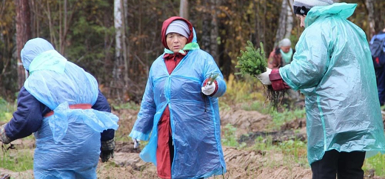 Штраф для дачников 5000 рублей: в МЧС рассказали, как его избежать