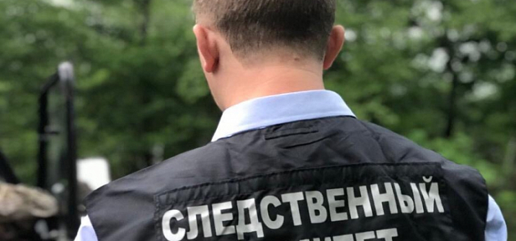 В Рыбинске осудят девочку-подростка, избившую пенсионерку кирпичом