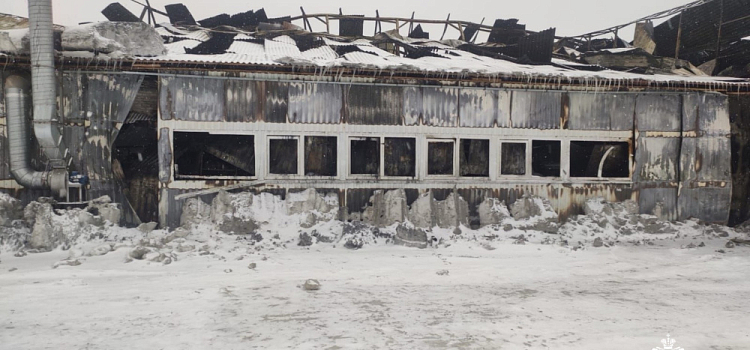 Стала известна наиболее вероятная причина пожара в «Садах Аурики»