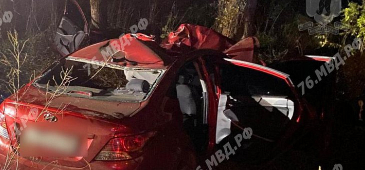 Водитель погиб в ДТП с лосем в Ярославском районе