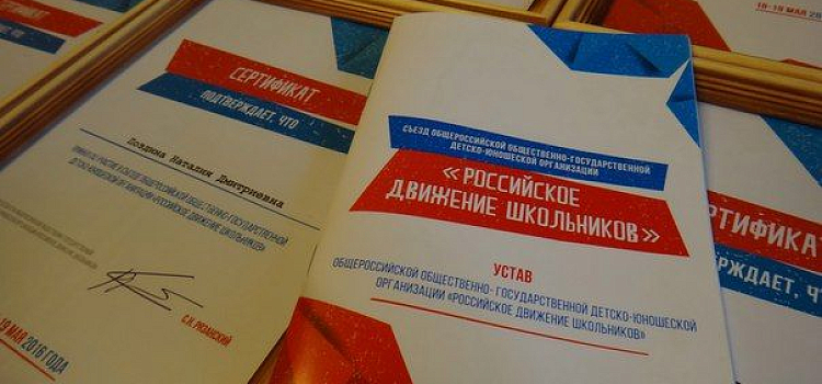 Пионерия XXI века: процесс запущен