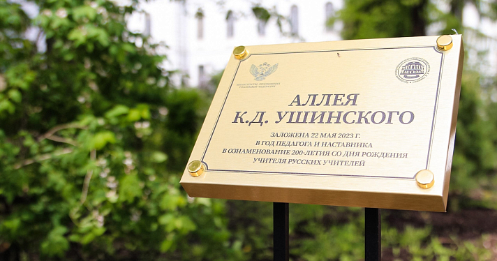 В Ярославле заложили кедровую аллею в честь Константина Ушинского_240790
