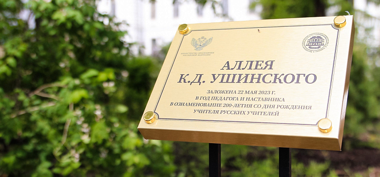 В Ярославле заложили кедровую аллею в честь Константина Ушинского_240790