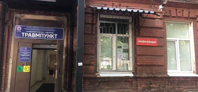 Каждый третий заражен: 6170 ярославцев пострадали от укусов клещей