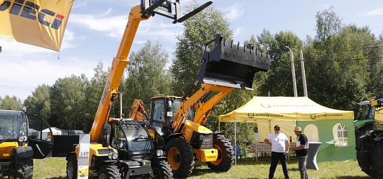 Более пяти тысяч гостей собрал День Ярославского поля_300266