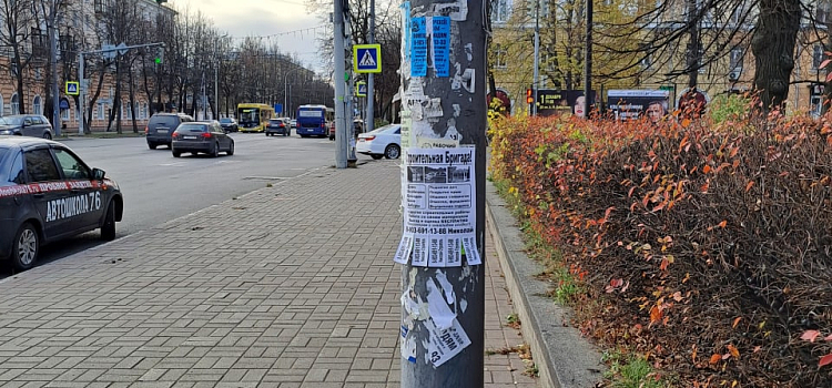 Столбы в клеточку: в Ярославле борются с рекламой на столбах и дорожных знаках, но этот метод плох_228623
