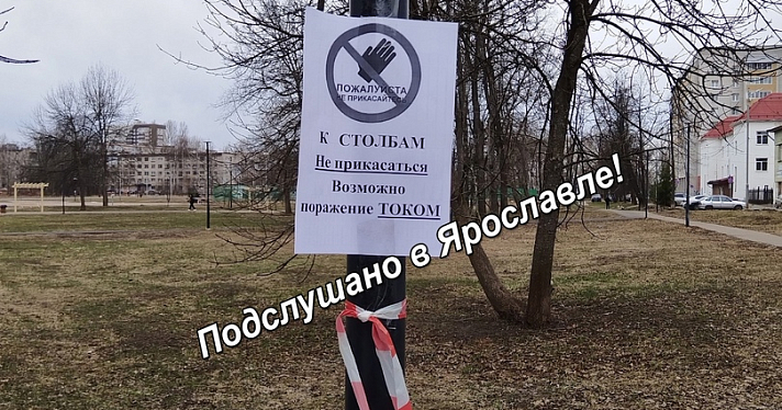 Калечат детей и животных: ярославцы жалуются на опасные парки_269497