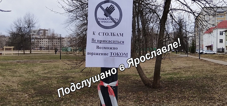 Калечат детей и животных: ярославцы жалуются на опасные парки_269497