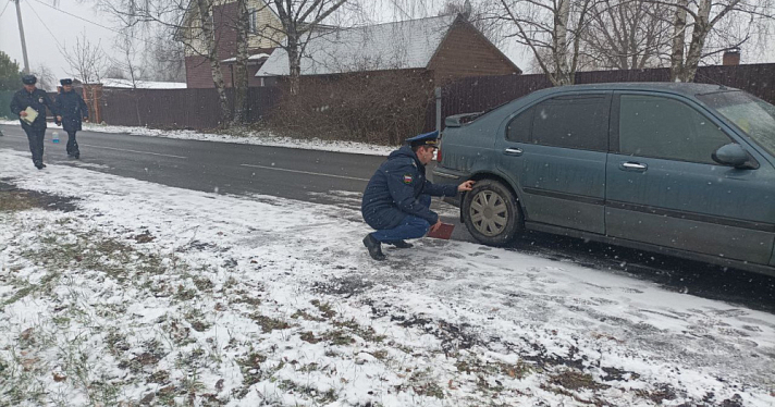 Ехал с превышением скорости: в Ярославской области насмерть сбили пятилетнюю девочку