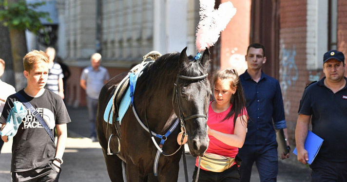 В Ярославле катать на лошадях разрешили только в восьми местах