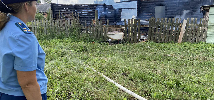 В деревне Ярославской области при пожаре погибла молодая женщина_278287