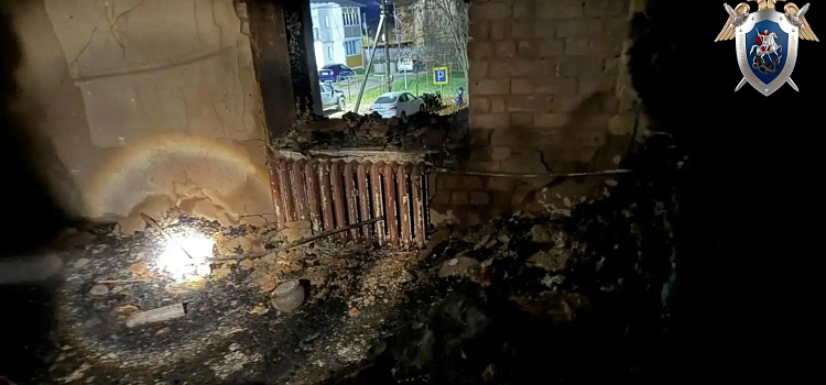 В селе Ярославской области при пожаре погиб пенсионер_325137