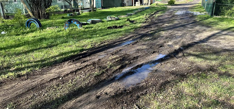Суд обязал построить дорогу к участкам многодетных семей в Ярославле_241792
